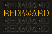 Klandestin Modern & Classical Serif, a Serif Font by Lettertype Studio (Thumbnail 14 of 20)