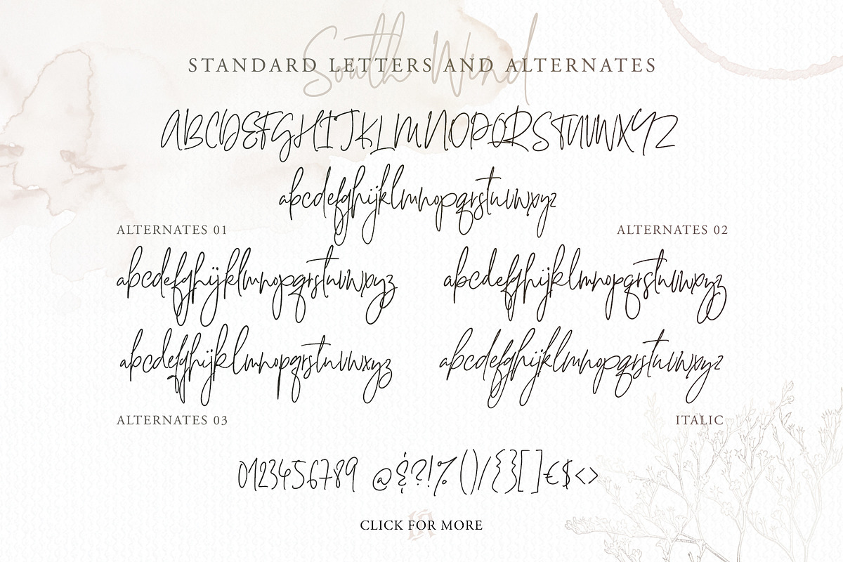 South Wind Font, a Script Font by Ivan Rosenberg (Photo 10 of 10)