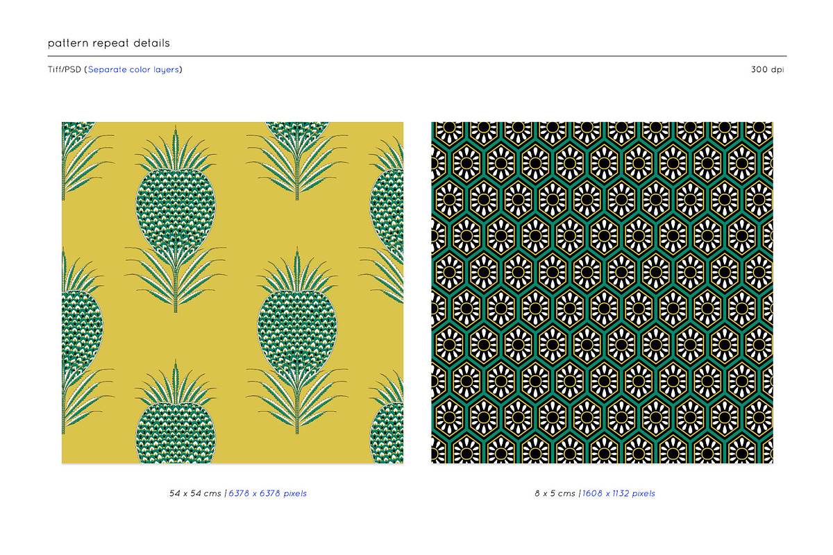 Mirai Collection 11 Eastern Patterns, a Pattern Graphic by TSTUDIO (Photo 7 of 12)