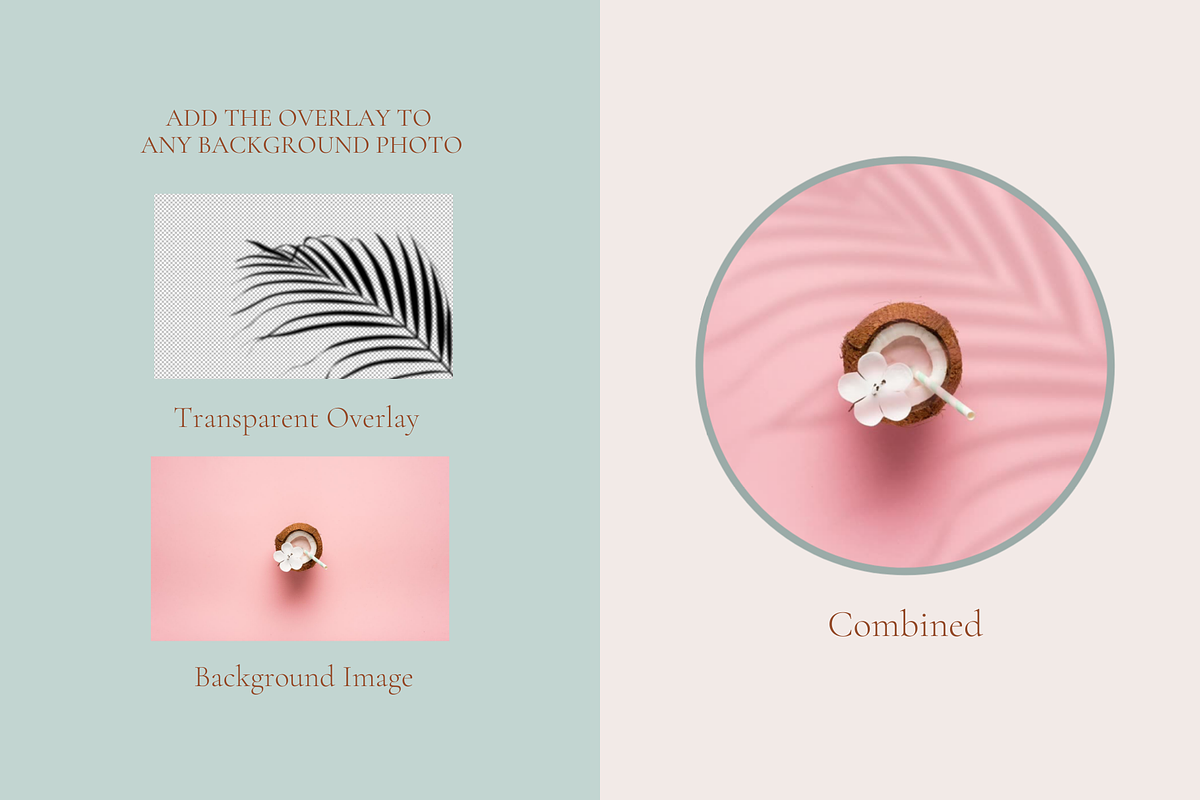 Animated Palm Leaf Shadow, a Product Mockup by Oui Create Studio (Photo 3 of 4)