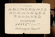 Bridget Signature Font, a Script Font by Timurtype (Thumbnail 6 of 7)