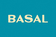 Basal I A Bold Sans Serif Font, a Sans Serif Font by Taylor Penton (Thumbnail 1 of 6)