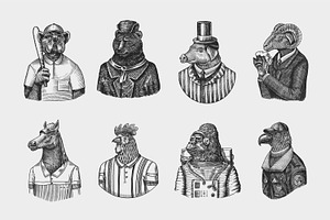 Fashion Animals Characters Drawing.