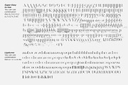 Beauty Ballerina, a Serif Font by Aluyeah Studio (Thumbnail 15 of 15)