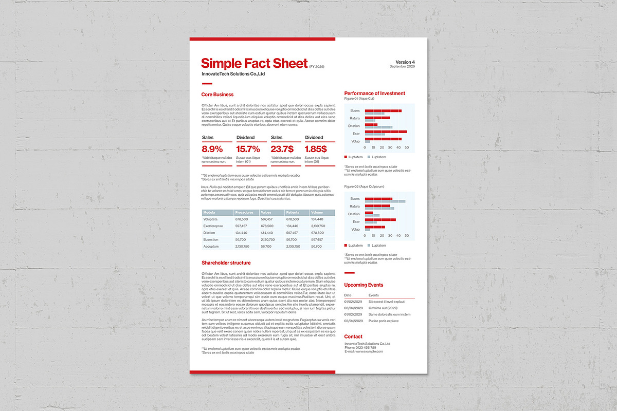 Simple Fact Sheet, a Flyer Template by BrandPacks (Photo 4 of 4)