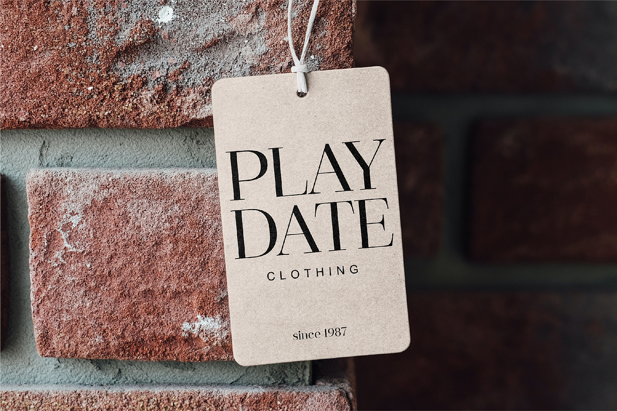Destine | Modern Display Serif, a Serif Font by Ef Studio (Photo 8 of 12)