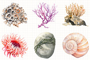 Watercolor Underwater Clipart, an Illustration by Libby Wishes (Thumbnail 3 of 5)