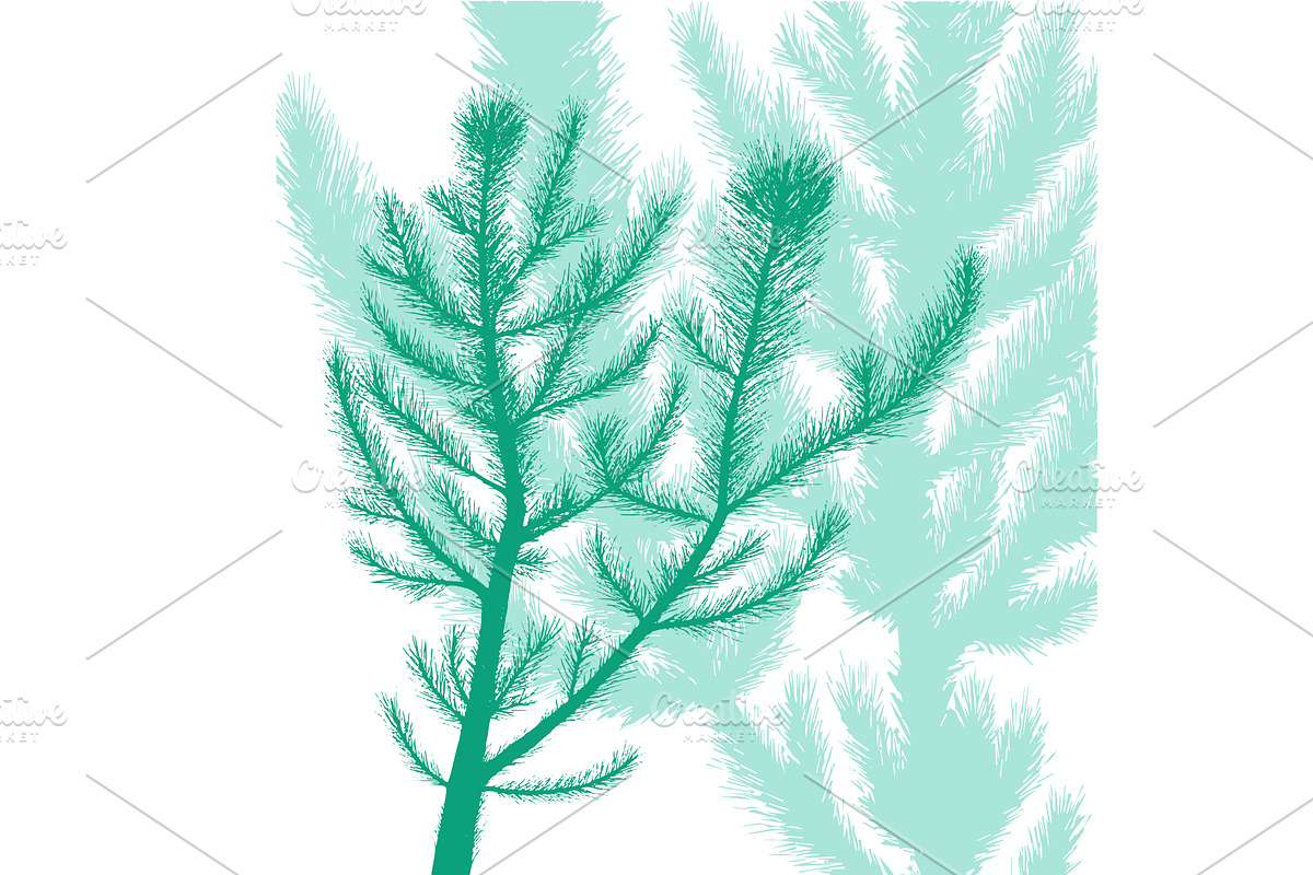 Pine blue branches background . hand, an Illustration by Nenahliadava Design