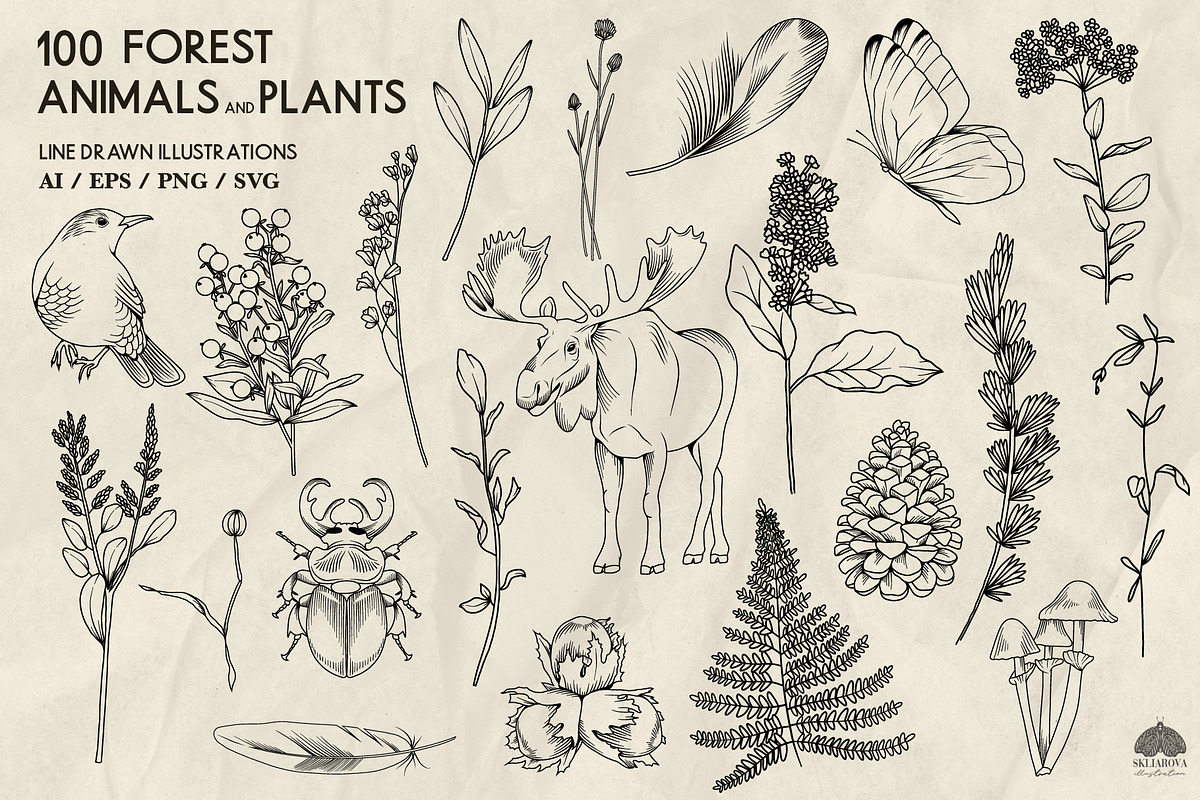 Forest Life Line Art + Procreate, an Object Illustration by Skliarova (Photo 2 of 6)