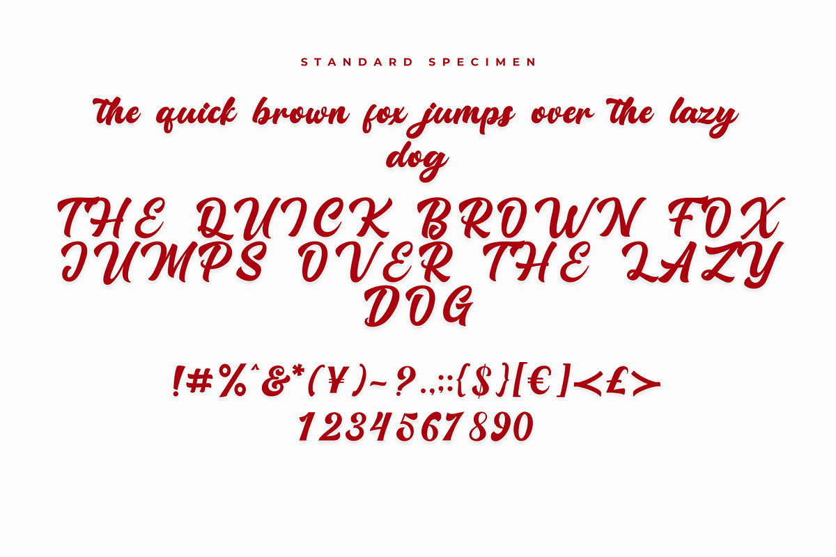 Rallidoni Lettering Font, a Script Font by Basnistudio (Photo 2 of 12)