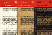 Lux Mentis - Serif Font Family, a Serif Font by Artistic & Unique (Thumbnail 15 of 15)