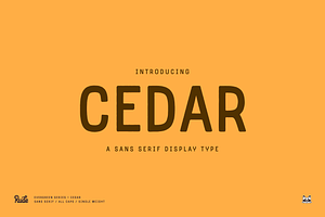 Cedar Display Font