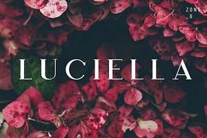Luciella | A Poetic Font Family
