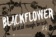 Blackflower, a Script Font by TypeFaith Fonts (Thumbnail 1 of 5)