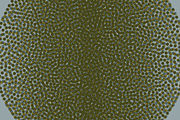 Circle Tones Vol. 20 | 20 Vectors, a Texture Graphic by invisiblelayer (Thumbnail 3 of 5)