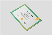 Saeroster - Certificate Template, a Print Template by Fannan Studio (Thumbnail 3 of 3)