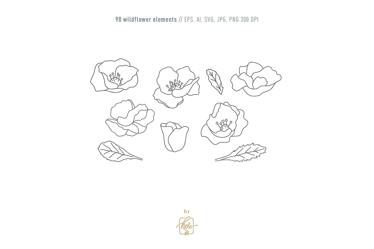 WILDFLOWER LINE ART, an Object Illustration by Kate Art (Photo 4 of 22)