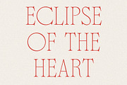 Casa Sol | Sharp Display Serif, a Serif Font by Jen Wagner Co (Thumbnail 7 of 10)