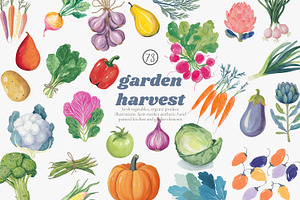 Watercolor vegetable clipart set, a Decorative Illustration by Patishop Art