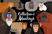 Monkeys, an Icon by ianakauri (Thumbnail 1 of 4)