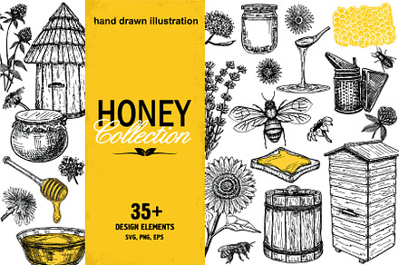 Hand drawn honey illustrations