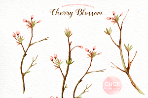 Cherry Blossom Watercolor Clip Art