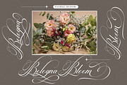 Georghina Script Pro, a Script Font by Has_rizal (Thumbnail 8 of 15)