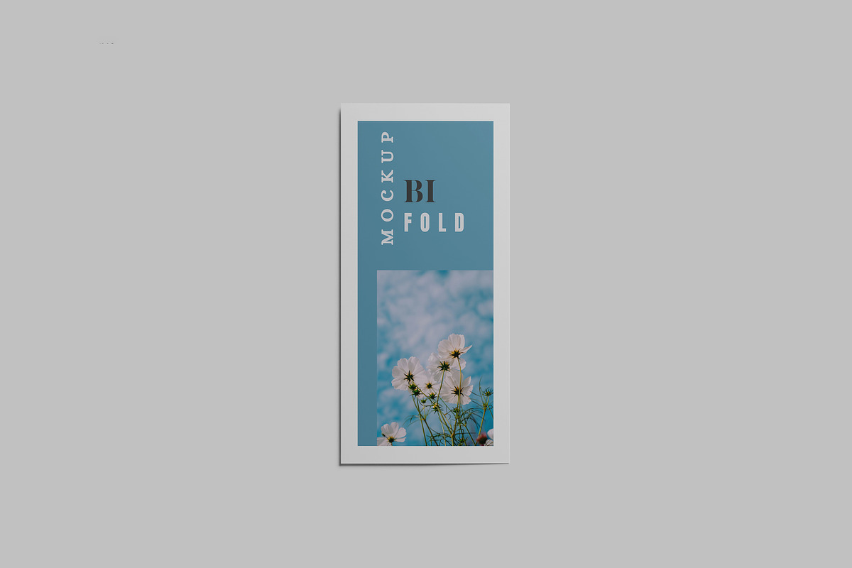 DL Bifold Brochure Mockup, a Print Template by Difa Design (Photo 5 of 11)