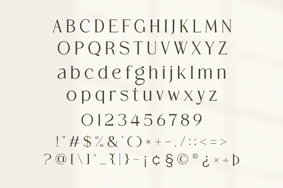 Rogatte || elegant ligature serif, a Serif Font by ToniStudio (Photo 9 of 16)
