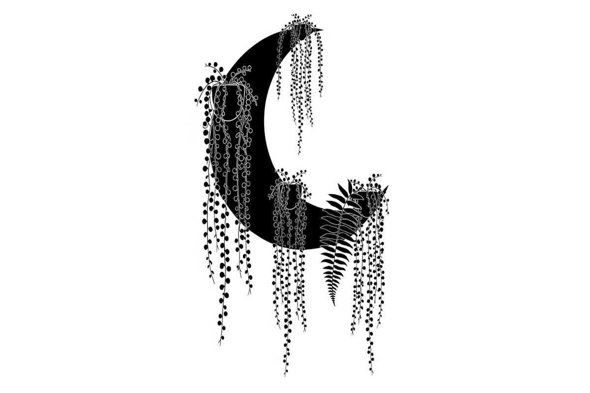 Hanging Moon with Plants Bundle, an Illustration by Designs_River (Photo 2 of 31)