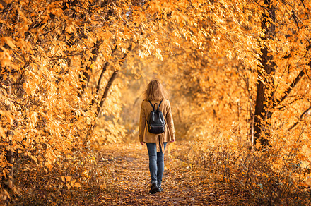 Woman in autumn park back view featuring autumn, adventure, and alone, a Person Photo by Lopatin Photo