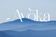 Avakine - Modern Ligature Typface, a Serif Font by AnnofaType (Thumbnail 4 of 8)