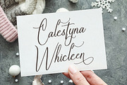Shastenlly, a Script Font by Goresan Studio (Thumbnail 2 of 15)