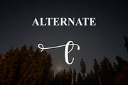 Night | Script Font, a Handwritten Font by Scratchones (Thumbnail 8 of 9)