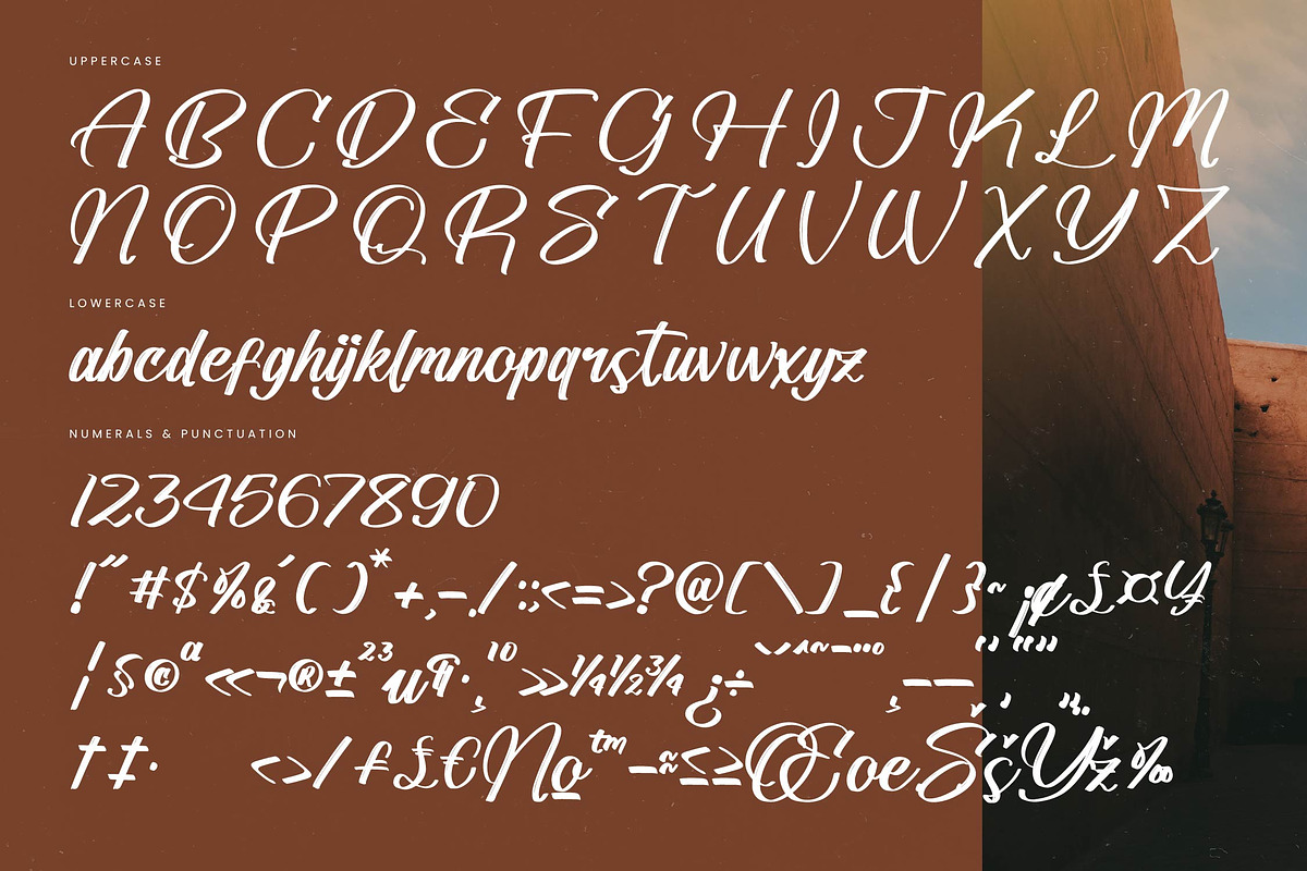 Standard Vertical Modern Brush Font, a Script Font by stylishtype.co (Photo 18 of 20)