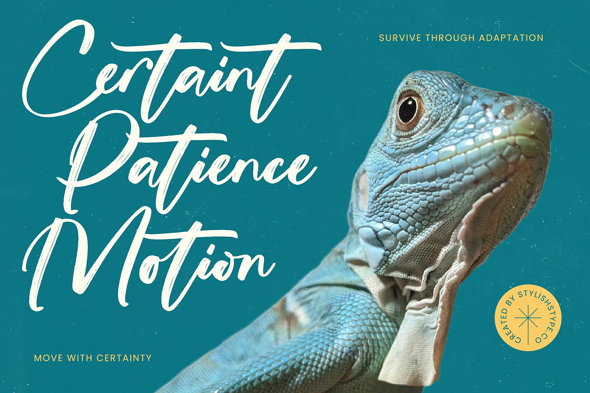 Hateline Syiteka Modern Brush Font, a Script Font by stylishtype.co (Photo 4 of 20)