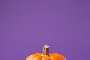 Single orange pumpkin on purple background with copy space, a Food & Drink Photo by José Manuel Gelpi
