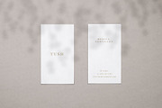 TUSH Business Cards Mockup Set, a Product Mockup by Cuoco (Thumbnail 4 of 6)