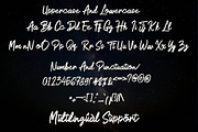 Dortmund, a Script Font by Zaenal Studio (Thumbnail 4 of 13)