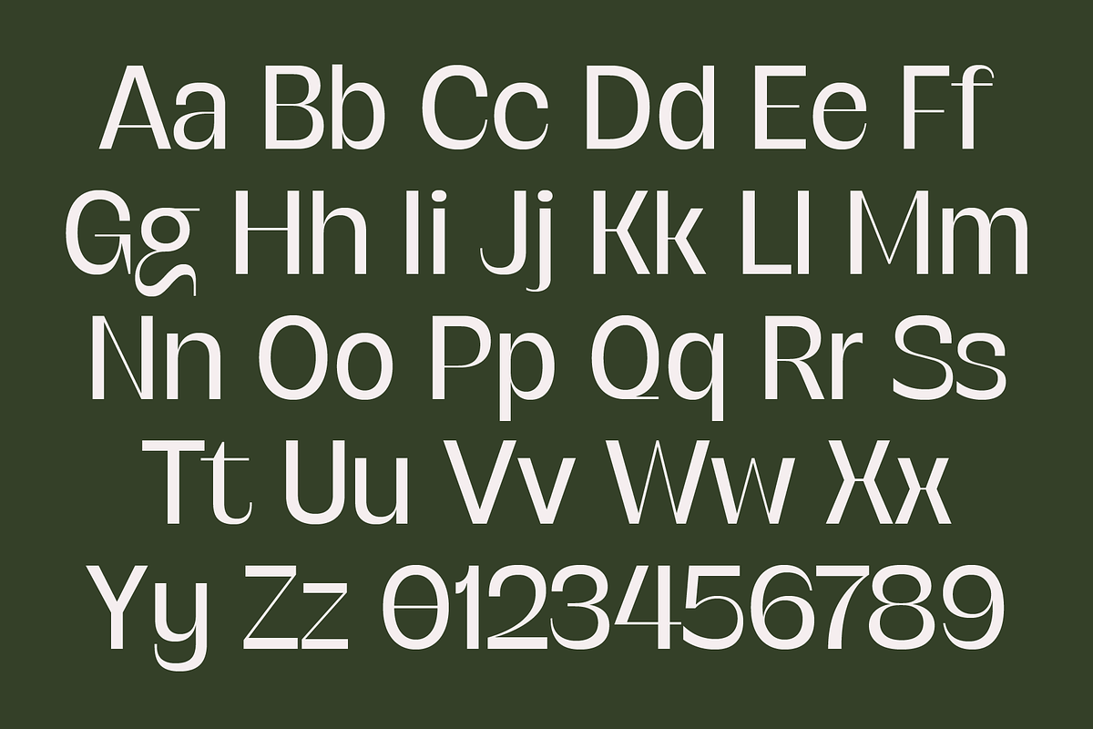 SG Verace Display Font, a Sans Serif Font by Studio Gulden (Photo 3 of 15)