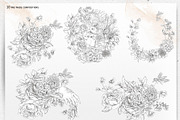 Regency flowers hand-drawn clipart, a Decorative Illustration by Depiano (Thumbnail 5 of 10)