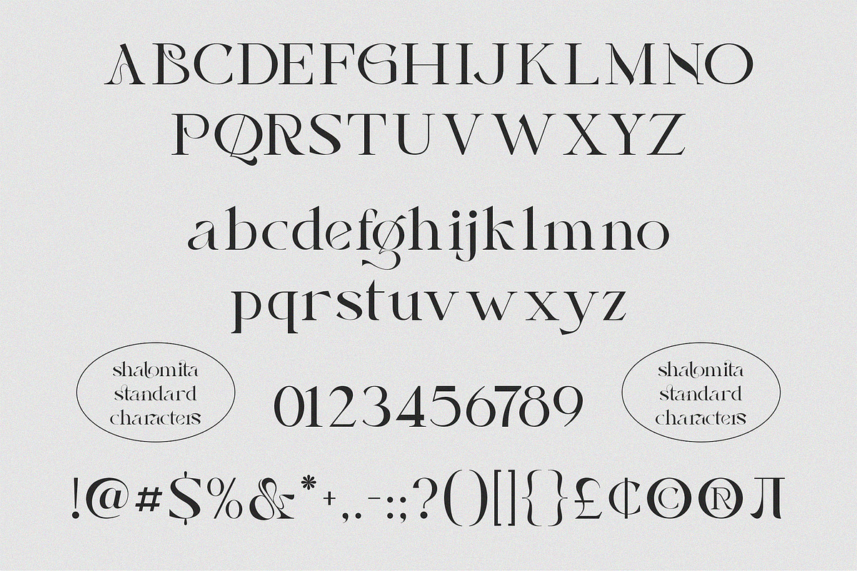 Shalomita, a Serif Font by Burntilldead (Photo 9 of 14)