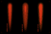 Pxl Bitmap - Photoshop Effect, a Layer Style Add-On by bangingjoints (Thumbnail 5 of 7)
