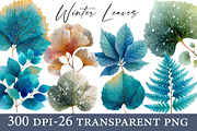 Winter Leaves PNG Graphics Clipart, an Illustration by Designworld (Thumbnail 1 of 6)