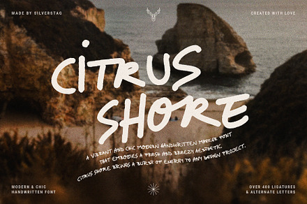 Citrus Shore - Playful Marker Font, a Handwritten Font by SilverStag Type Foundry