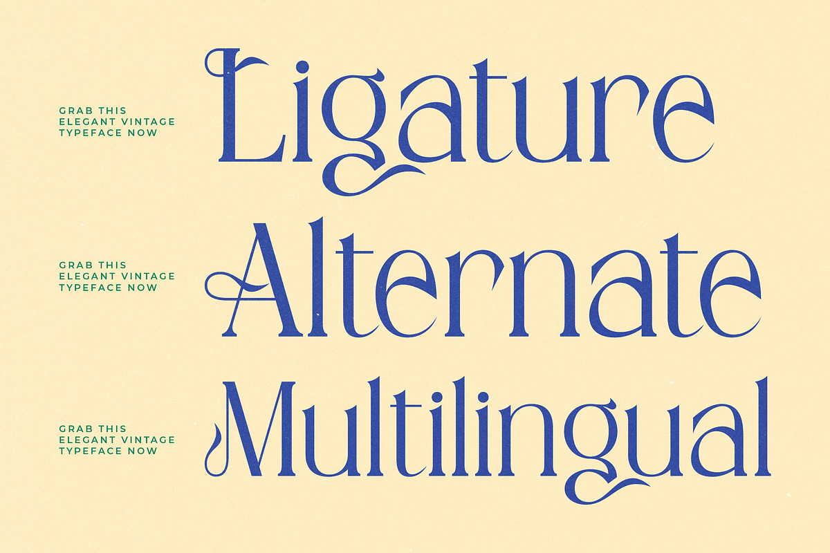 Qeilgera Modern Luxury Serif, a Serif Font by timelesstype.co (Photo 10 of 15)