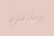 Modern Bohemian Font Duo, a Script Font by The Styled Script (Thumbnail 7 of 7)