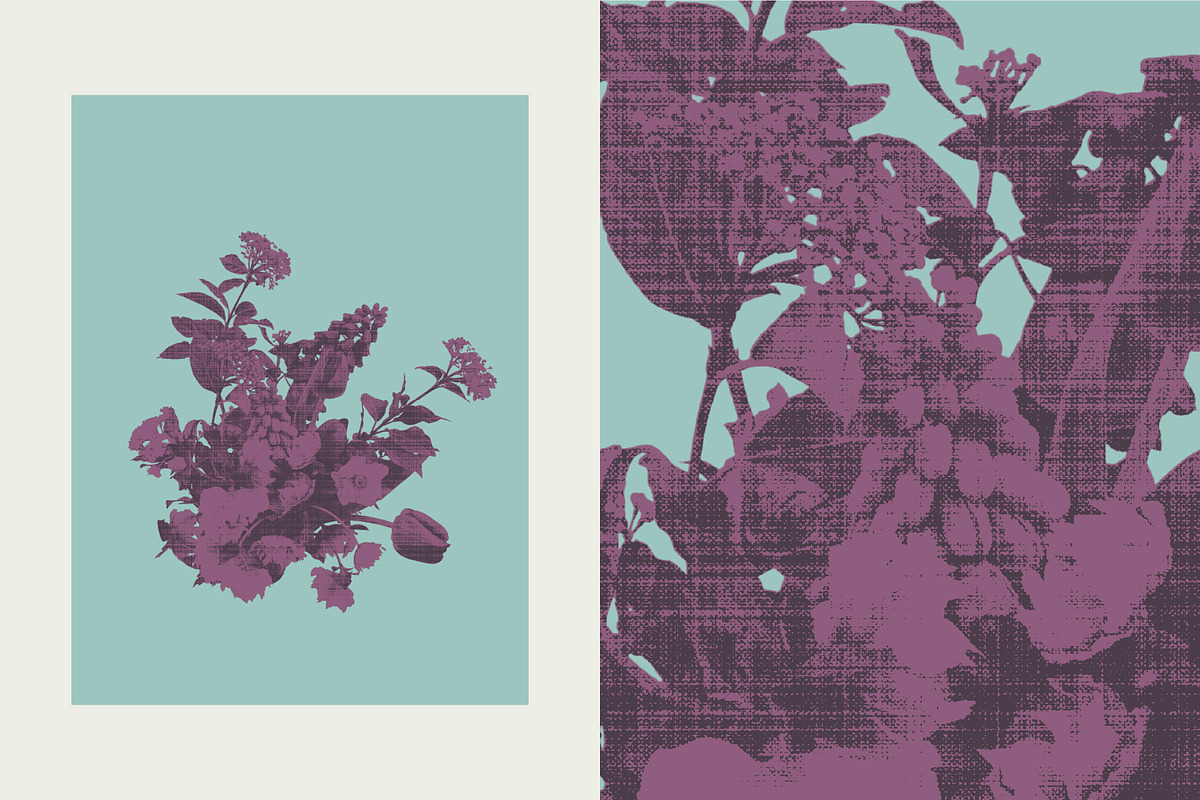 Printed Botanical Graphics, an Object Graphic by Neatly Made Studio (Photo 8 of 17)