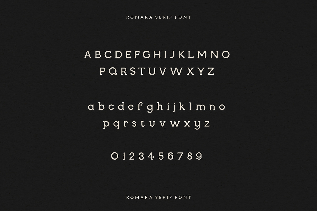 Romara | Elegant & Modern Serif Font, a Font by Wild Theory (Photo 9 of 16)