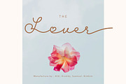 Hilove Script Love Font, a Script Font by delipensil (Thumbnail 3 of 10)